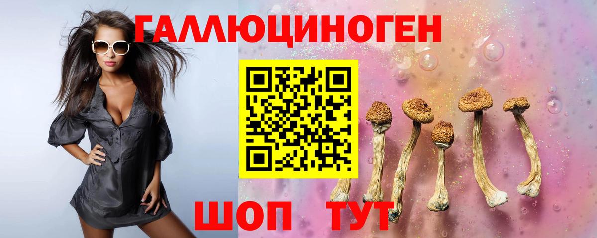 Сорочинск  Галлюциногенные грибы Psilocybine cubensis  купить закладку  Вход с VPN 